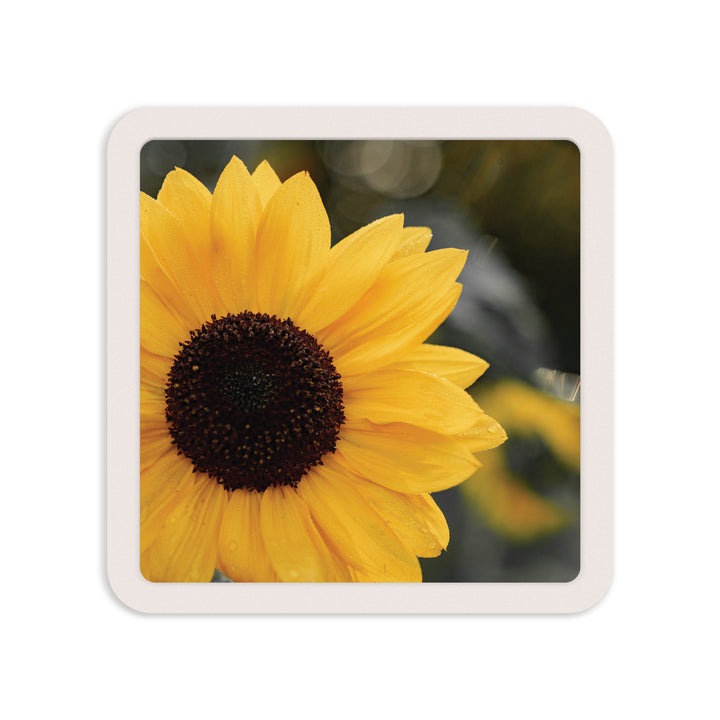 Sunflower Mini Ceramic Sign