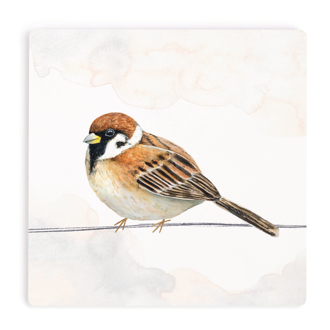 Sparrow Coaster