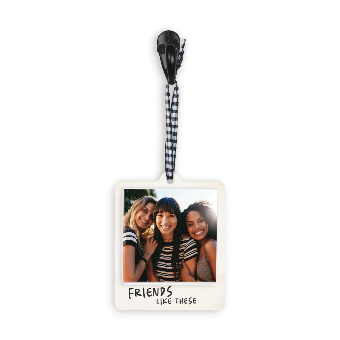 Friends Like These Photo Frame