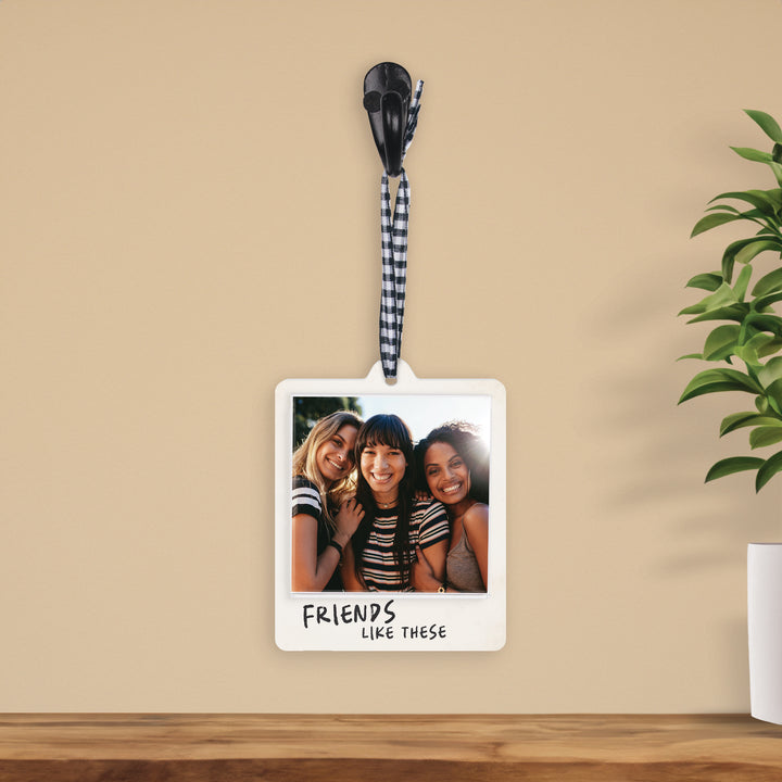 Friends Like These Photo Frame
