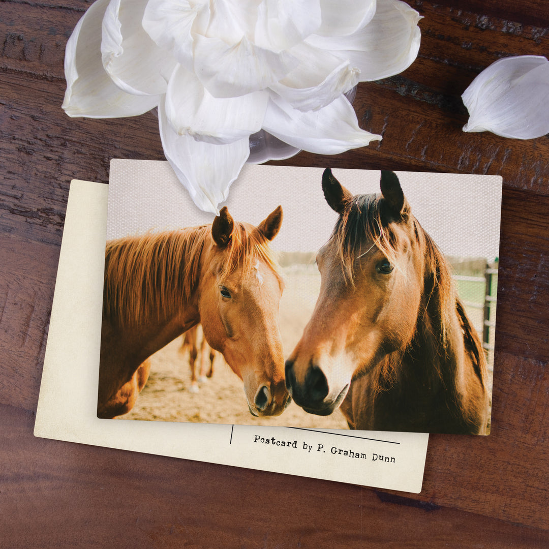 Horses Wooden Postcard