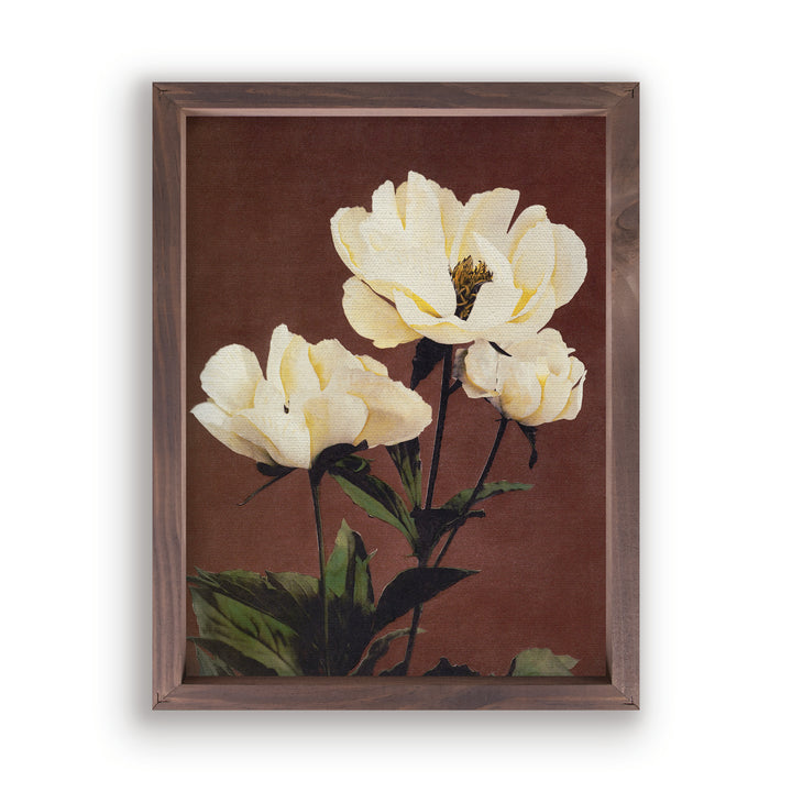 Cream Flowers Framed Art