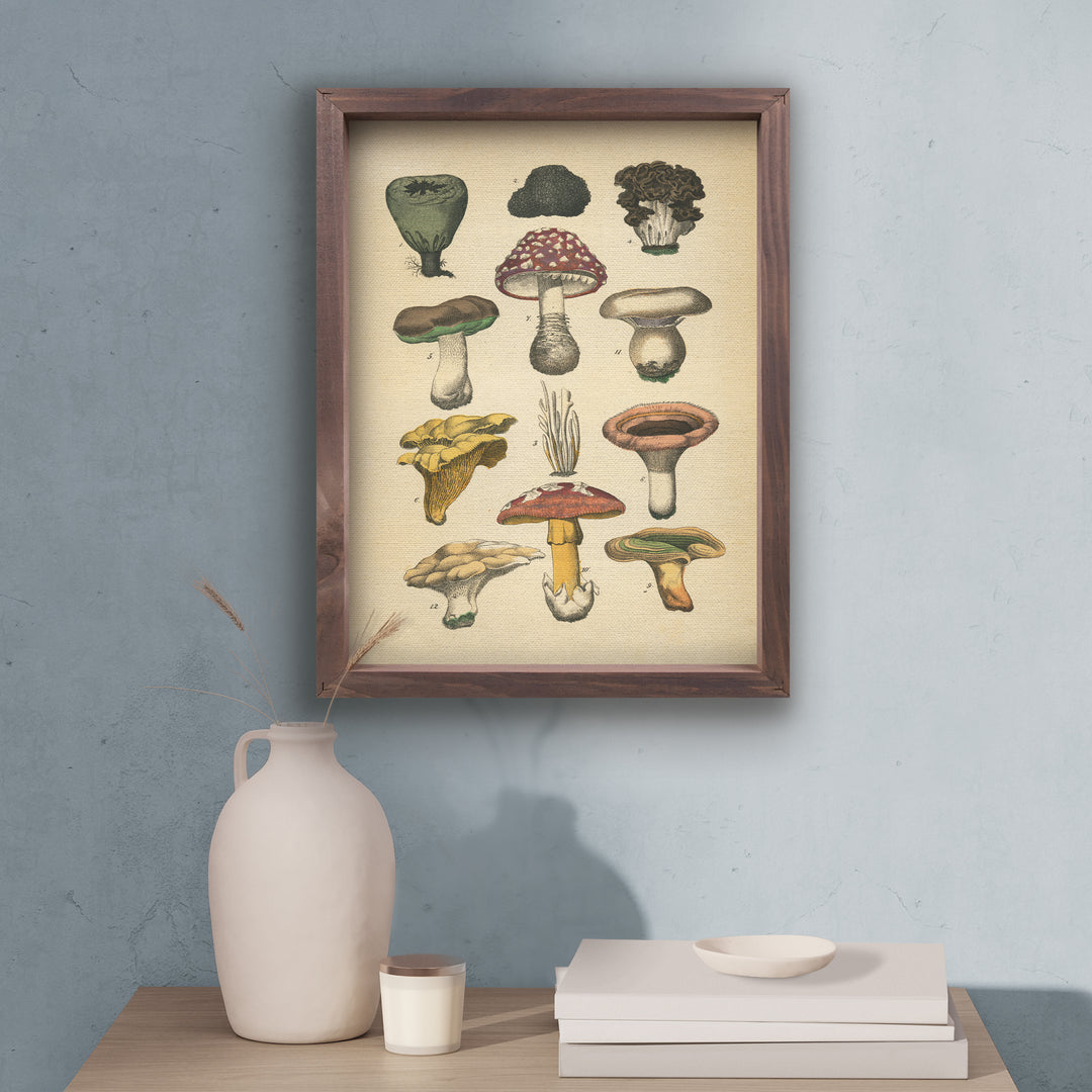 Mushrooms Framed Art