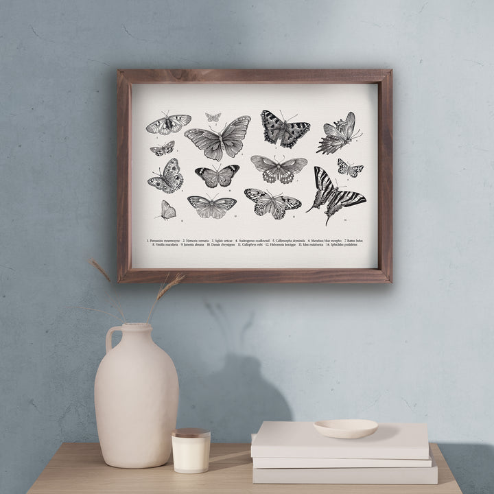 Butterflies Framed Art