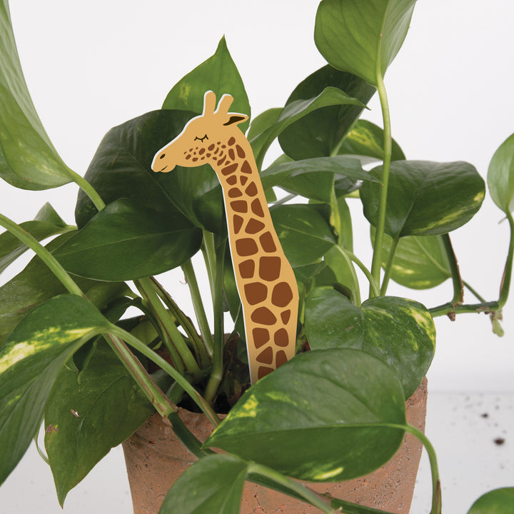 Giraffe Plant Pal