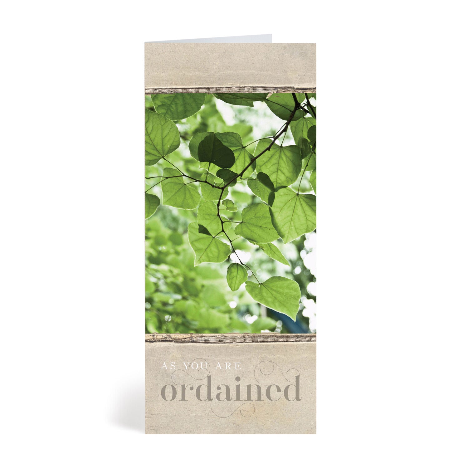 Branches Ordination Greeting Card