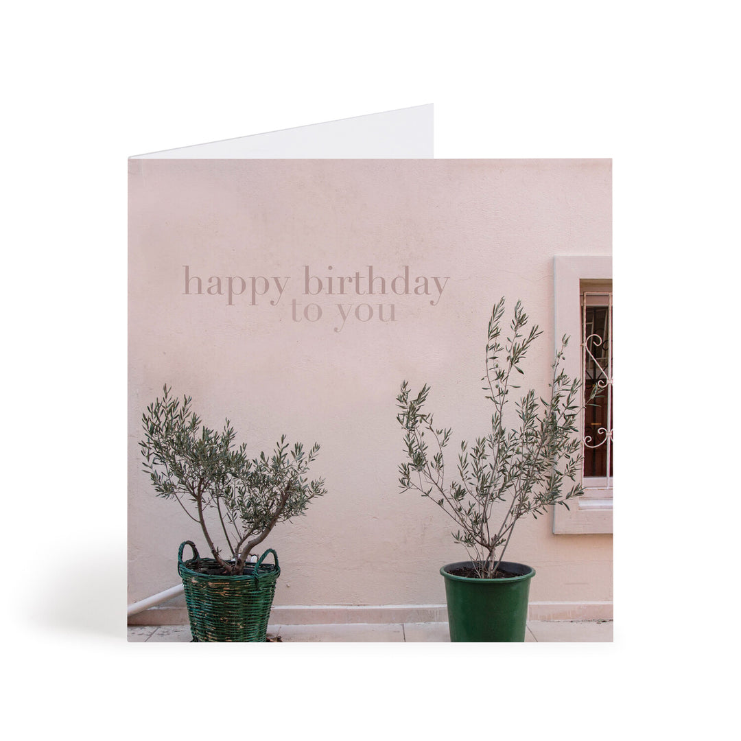 Olive Trees Birthday Greeting Card