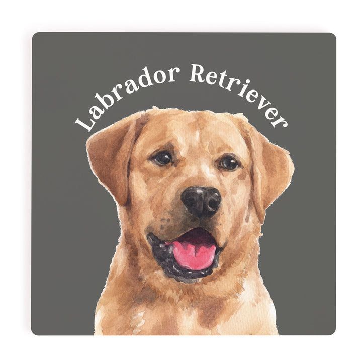 Labrador Retriever Coaster