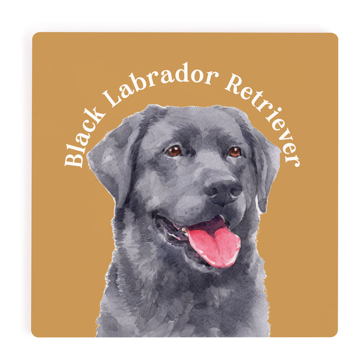 Black Labrador Retriever Coaster