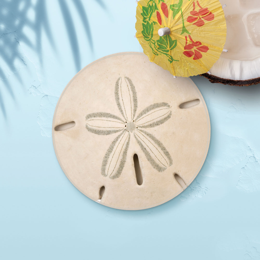 Sand Dollar Ceramic Coaster