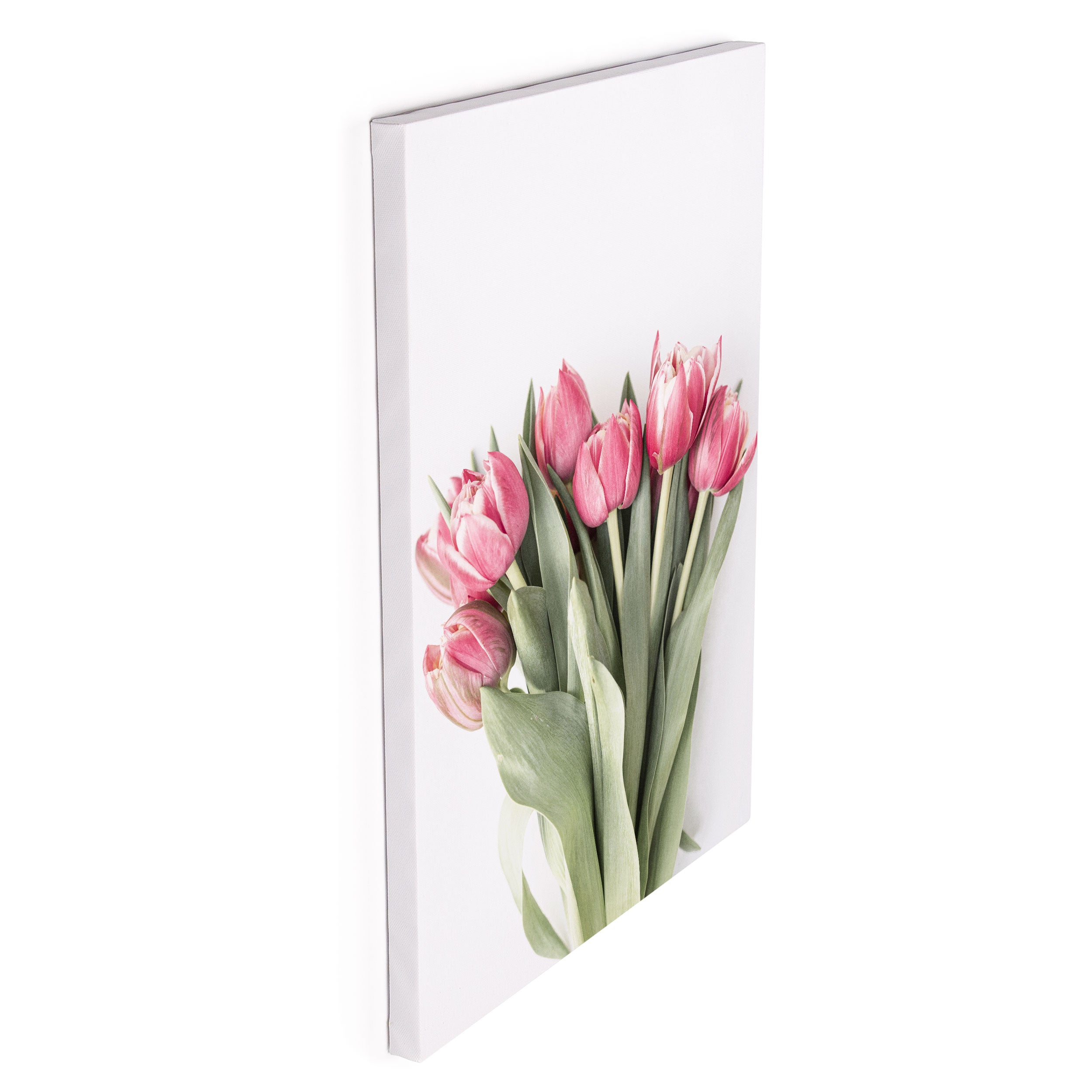 Pink Tulips Canvas