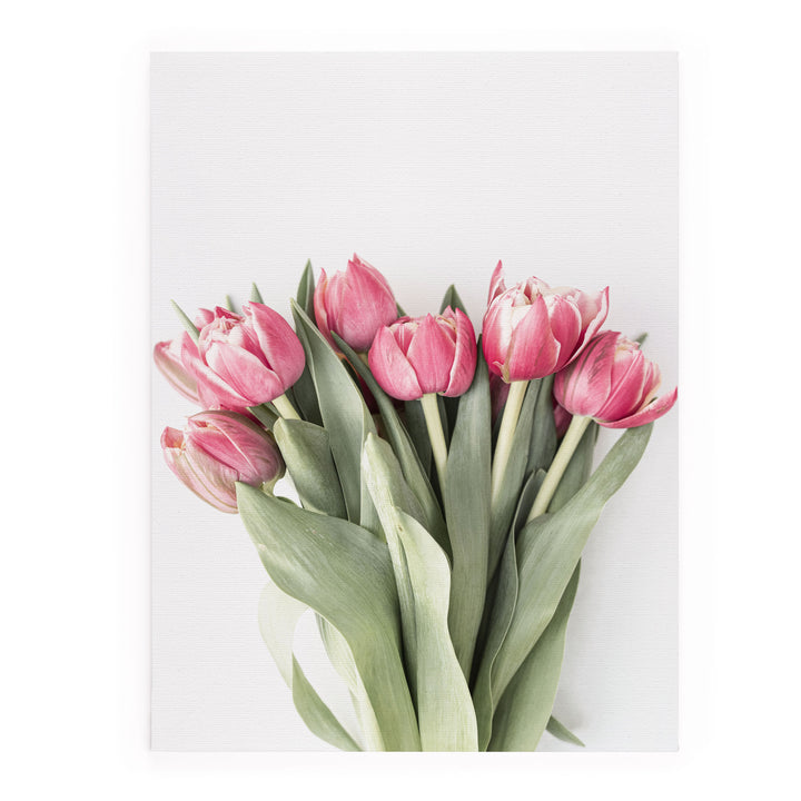 Pink Tulips Canvas