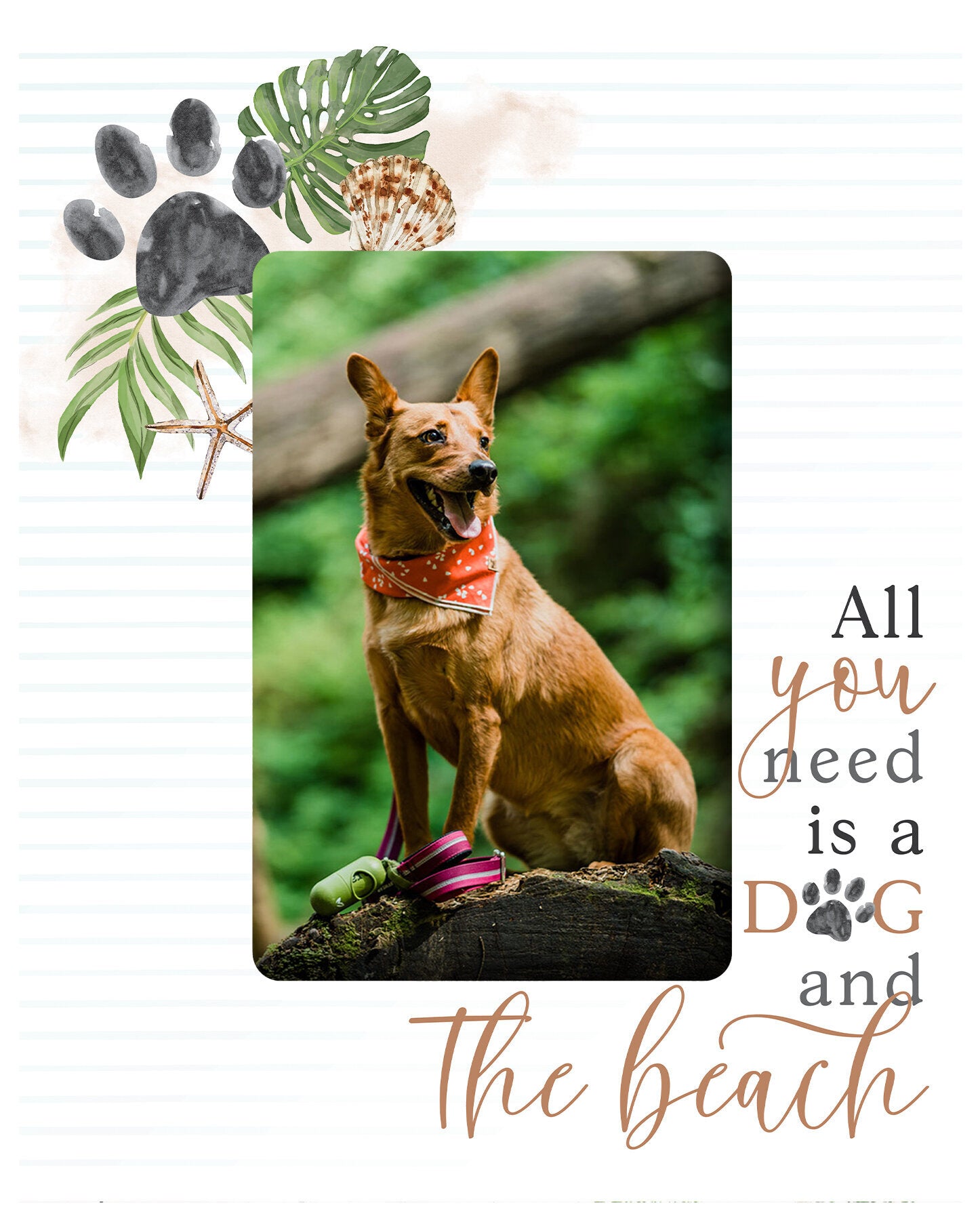 All You Need Is A Dog And The Beach Photo Frame (4x6 Photo)