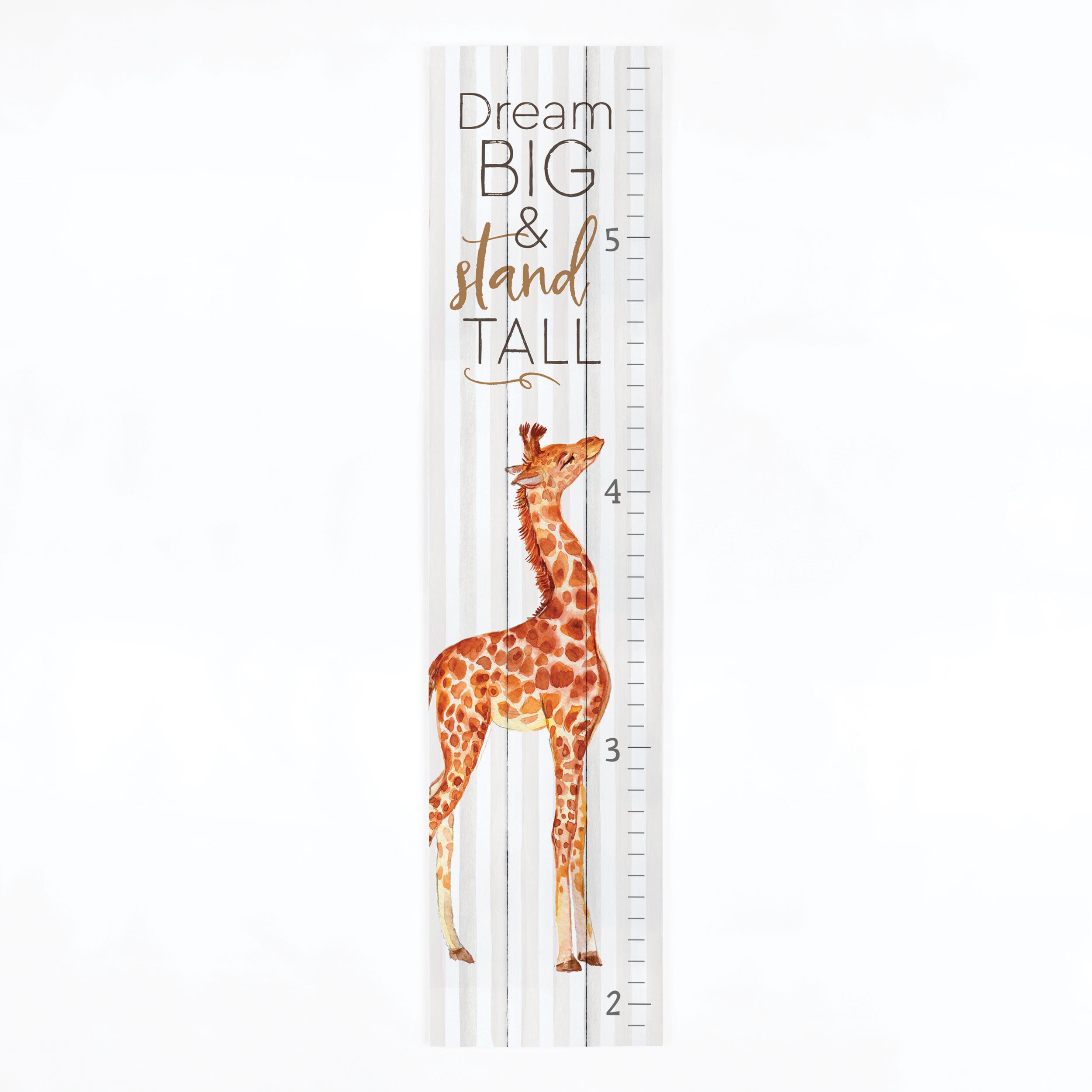 **Dream Big And Stand Tall Growth Chart Pallet Décor