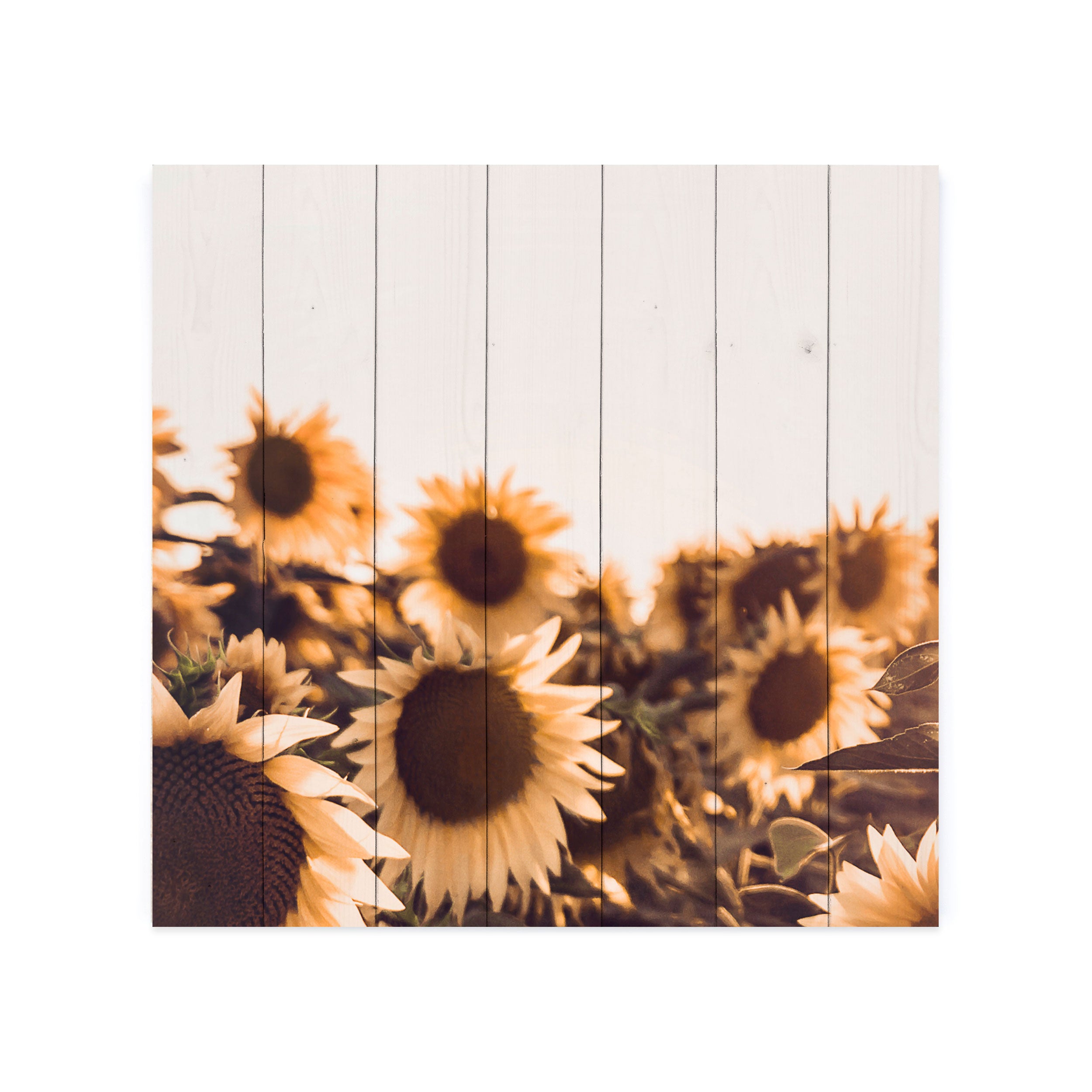 Sunflowers Pallet Décor