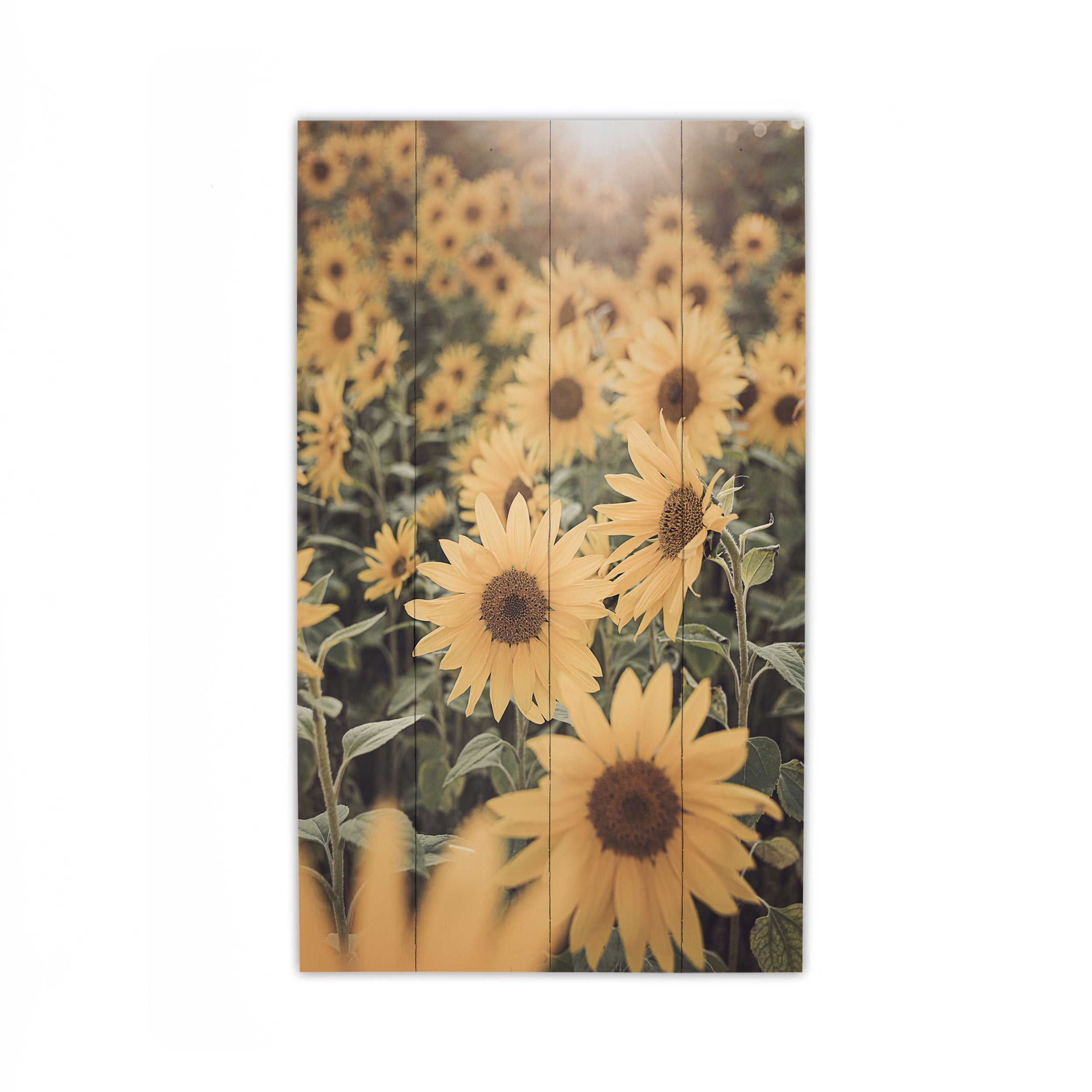 Sunflower Field Pallet Décor