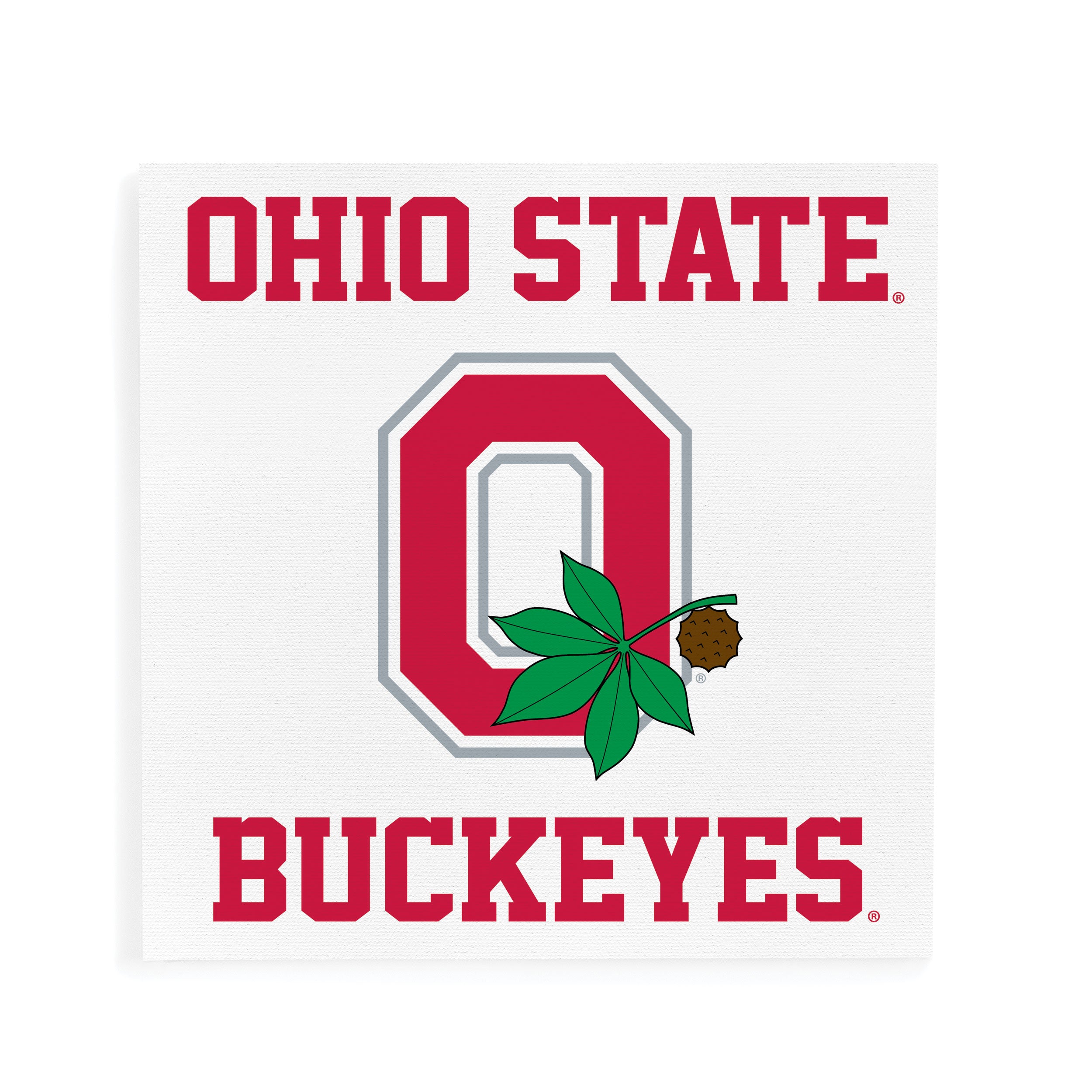 School and Logo - The Ohio State University Canvas Sign