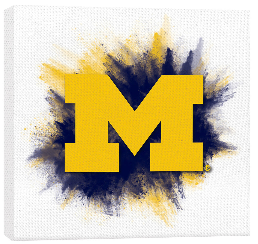 University of Michigan Color Splash Logo