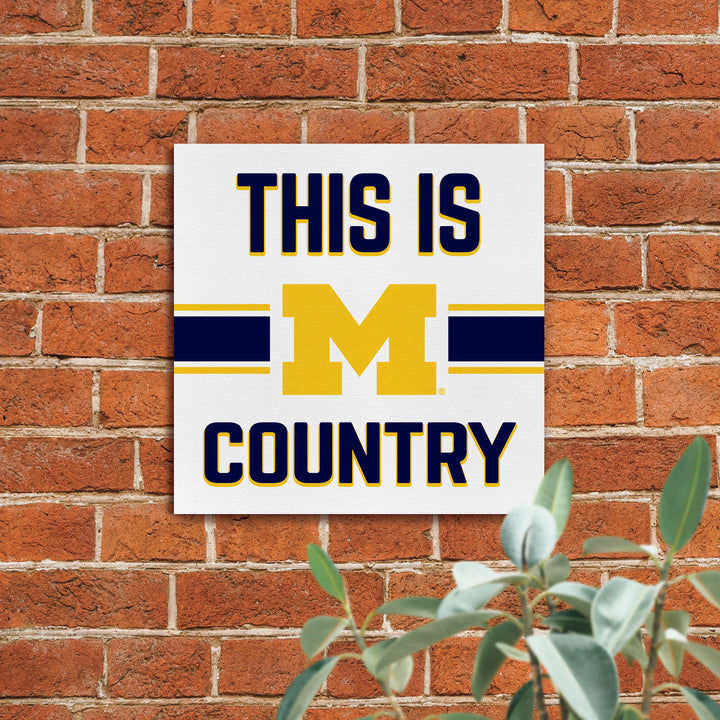 This is University of Michigan Country