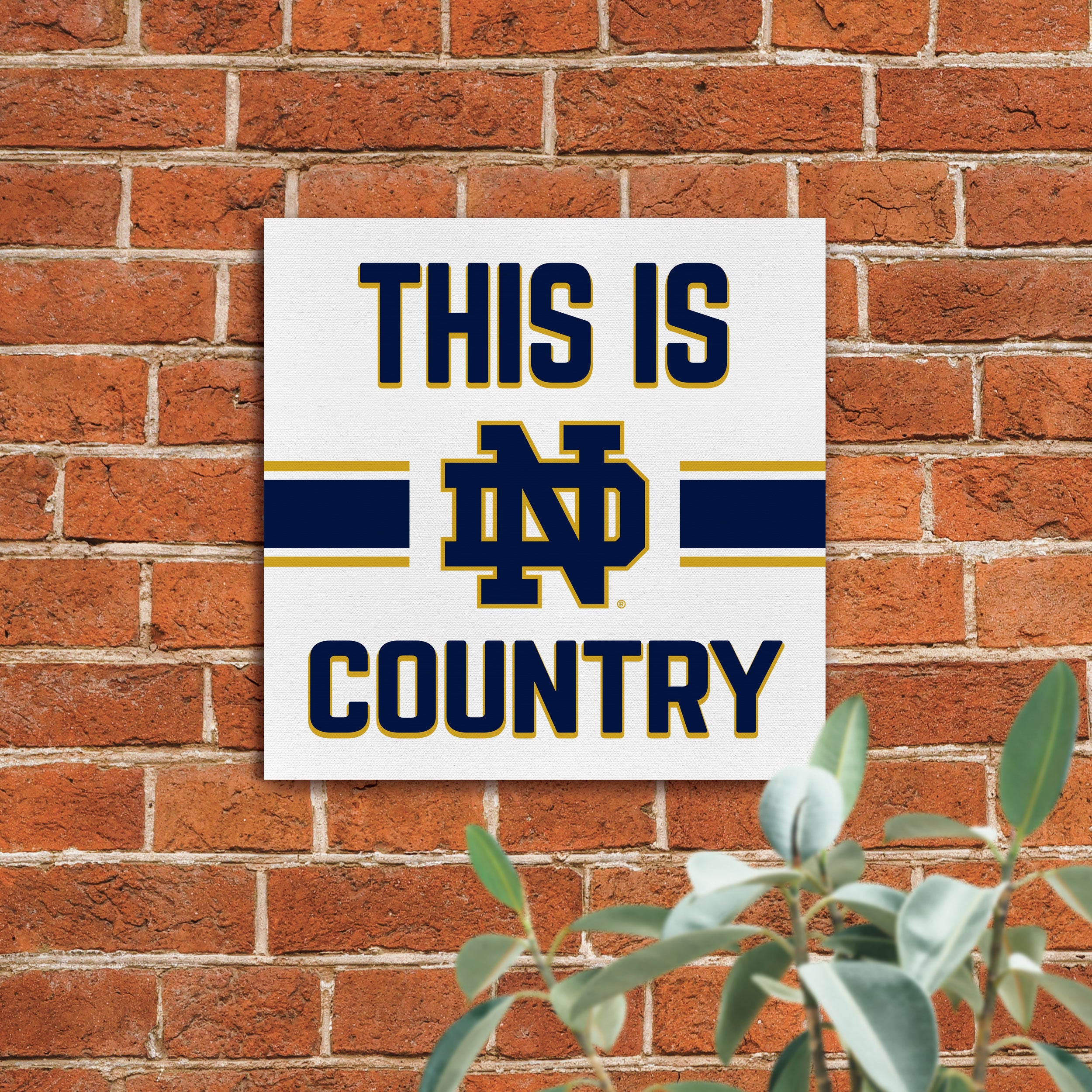 This is University of Notre Dame Country
