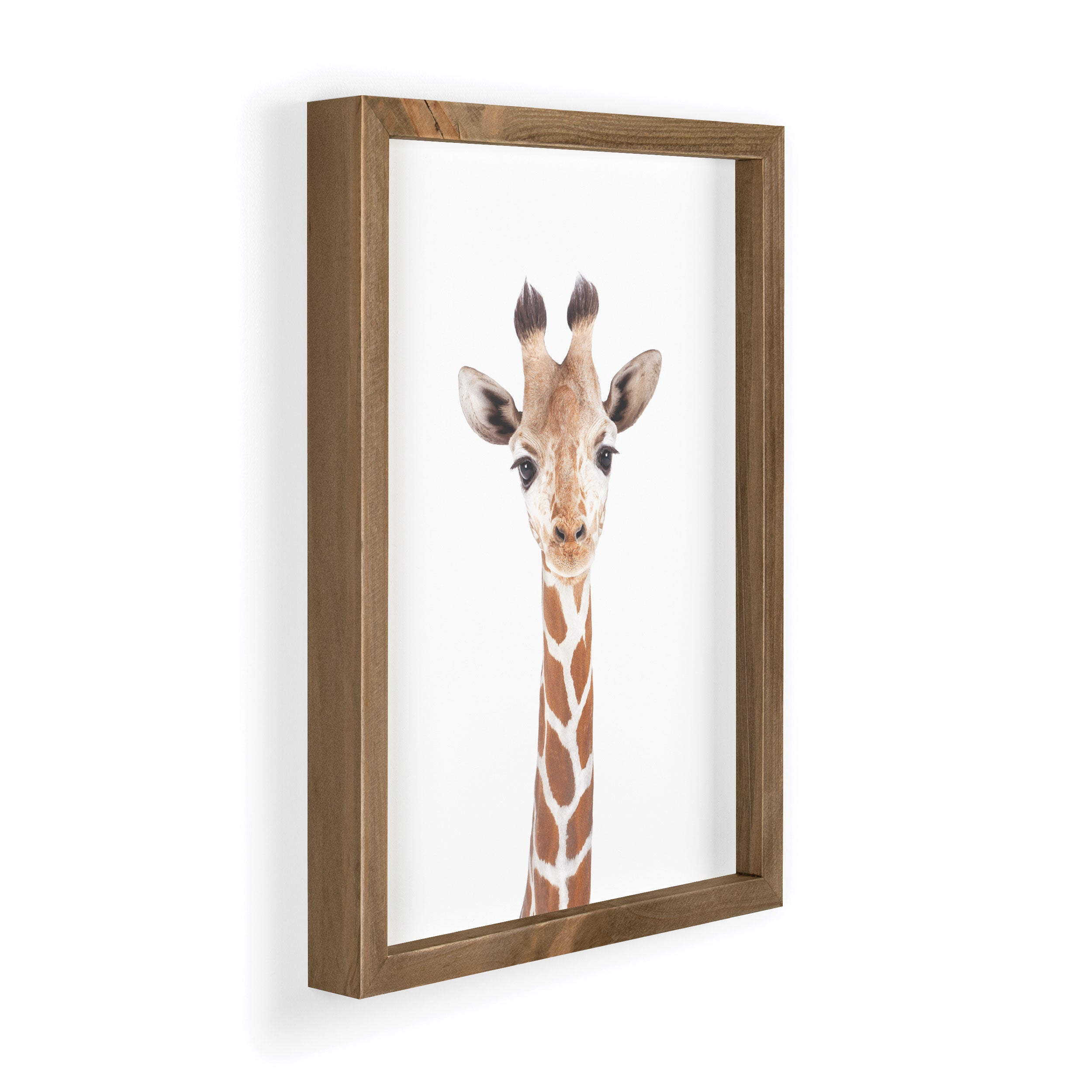 Giraffe Framed Art