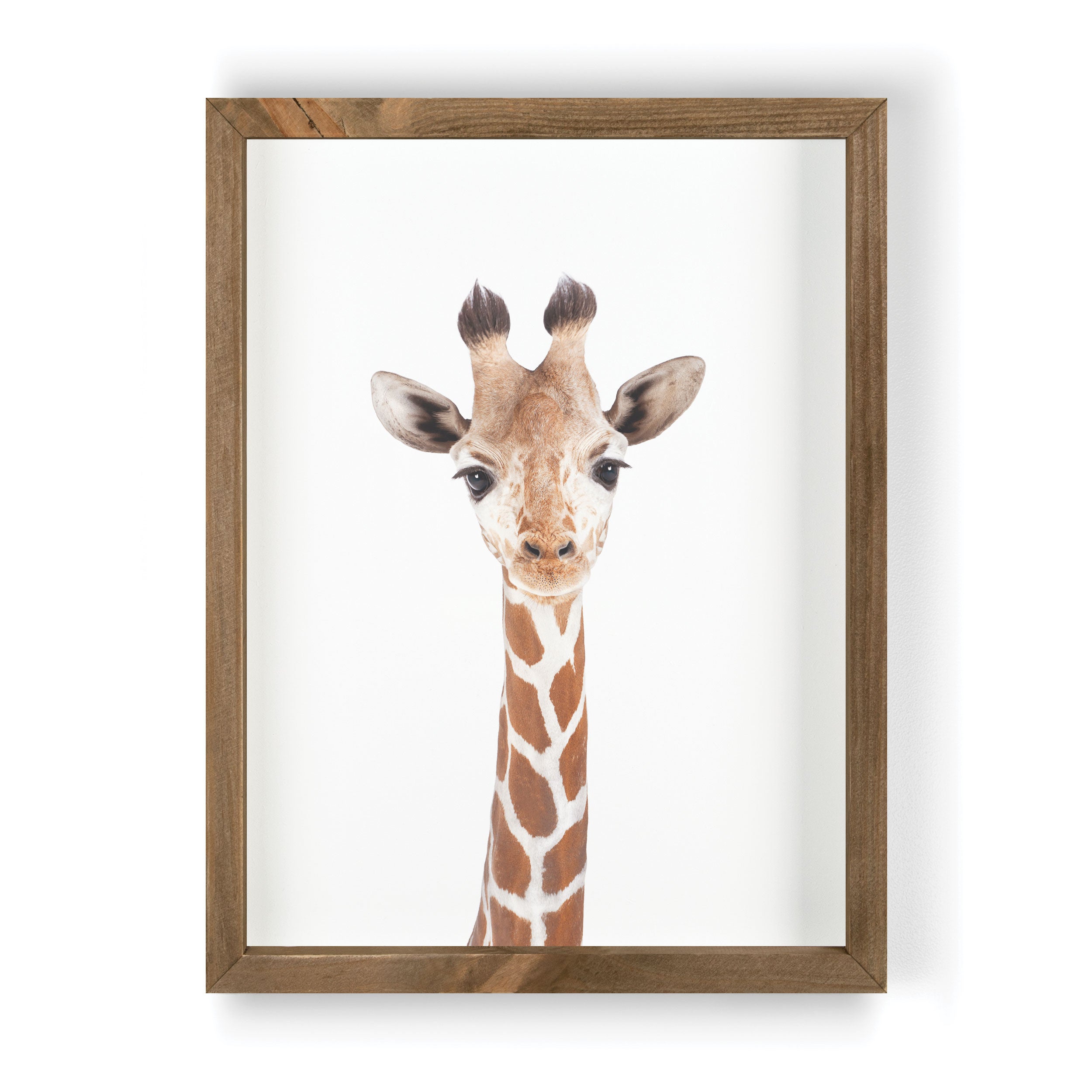Giraffe Framed Art