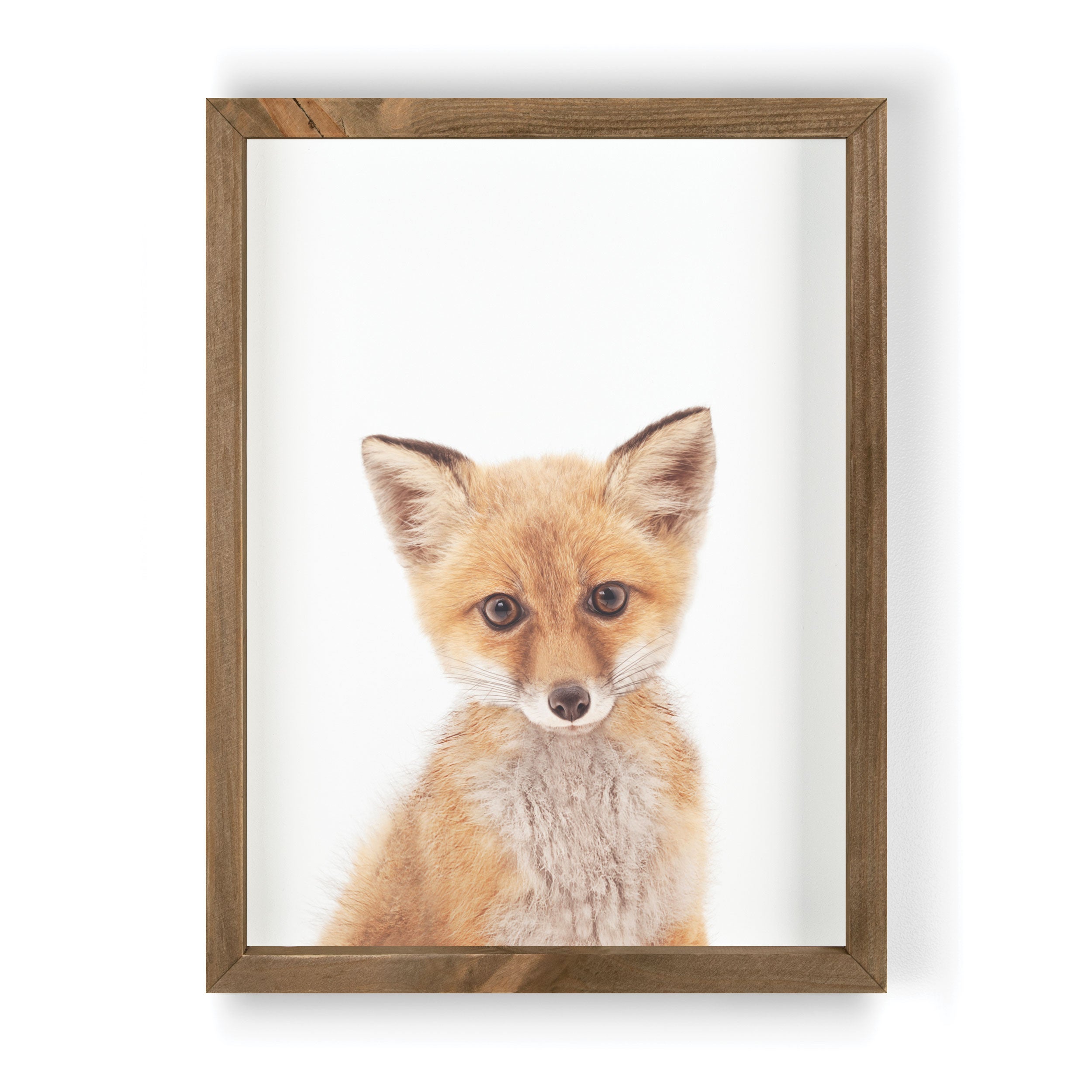 Fox Framed Art