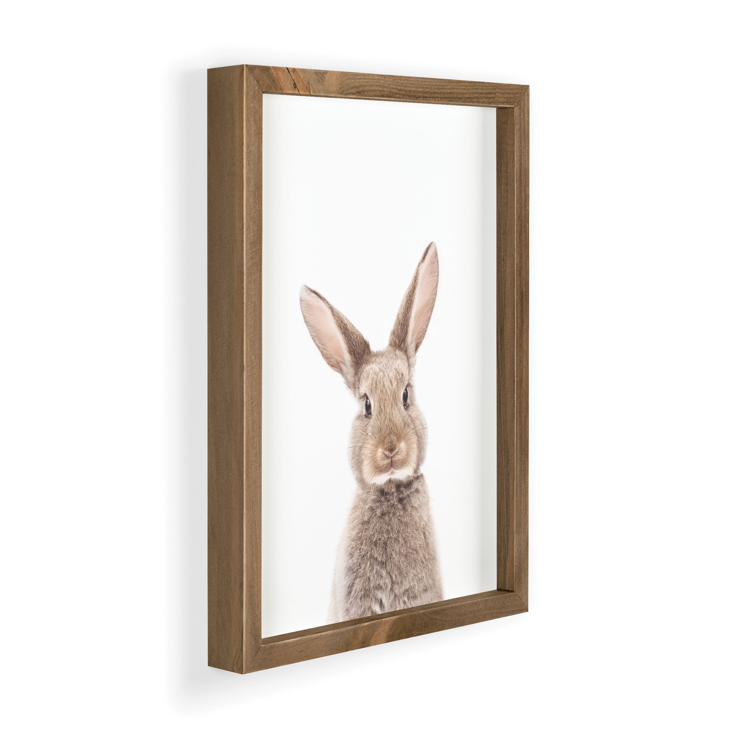 Rabbit Framed Art