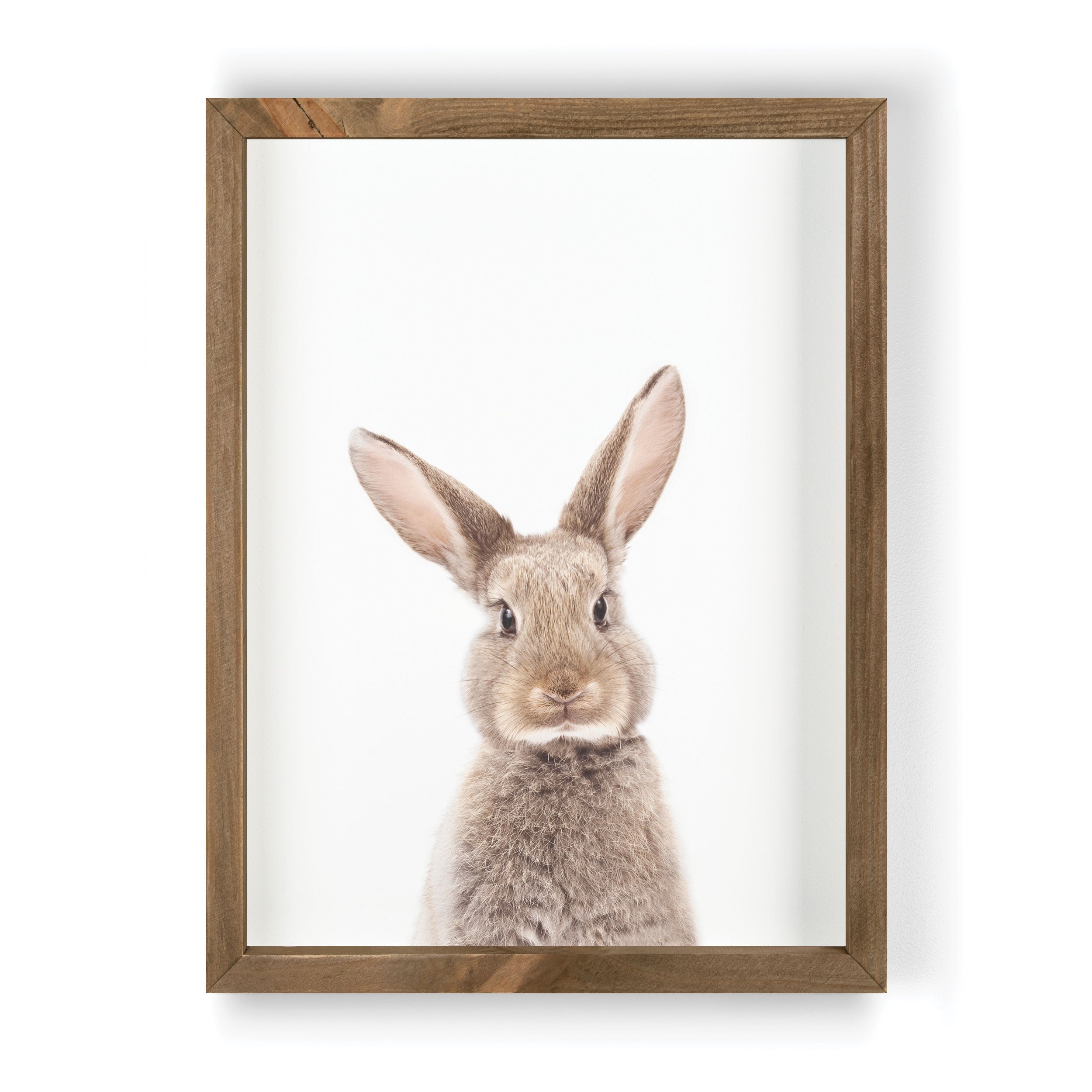 Rabbit Framed Art