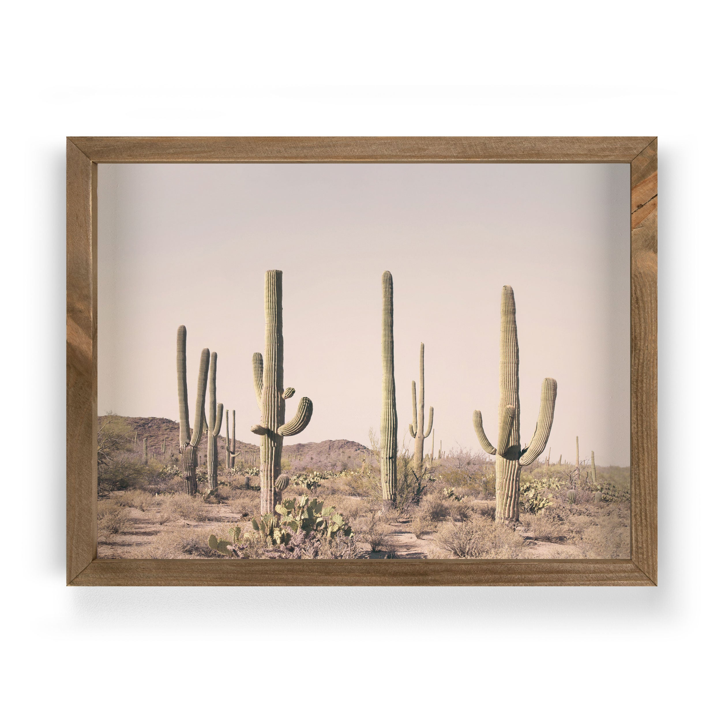 Cactus Scene Framed Art