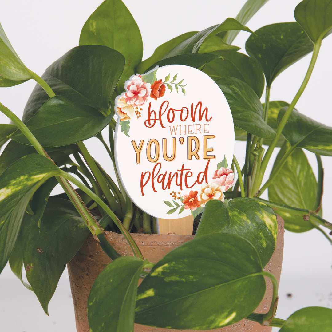 Bloom Where You're Planted Plant Pal Garden Sign