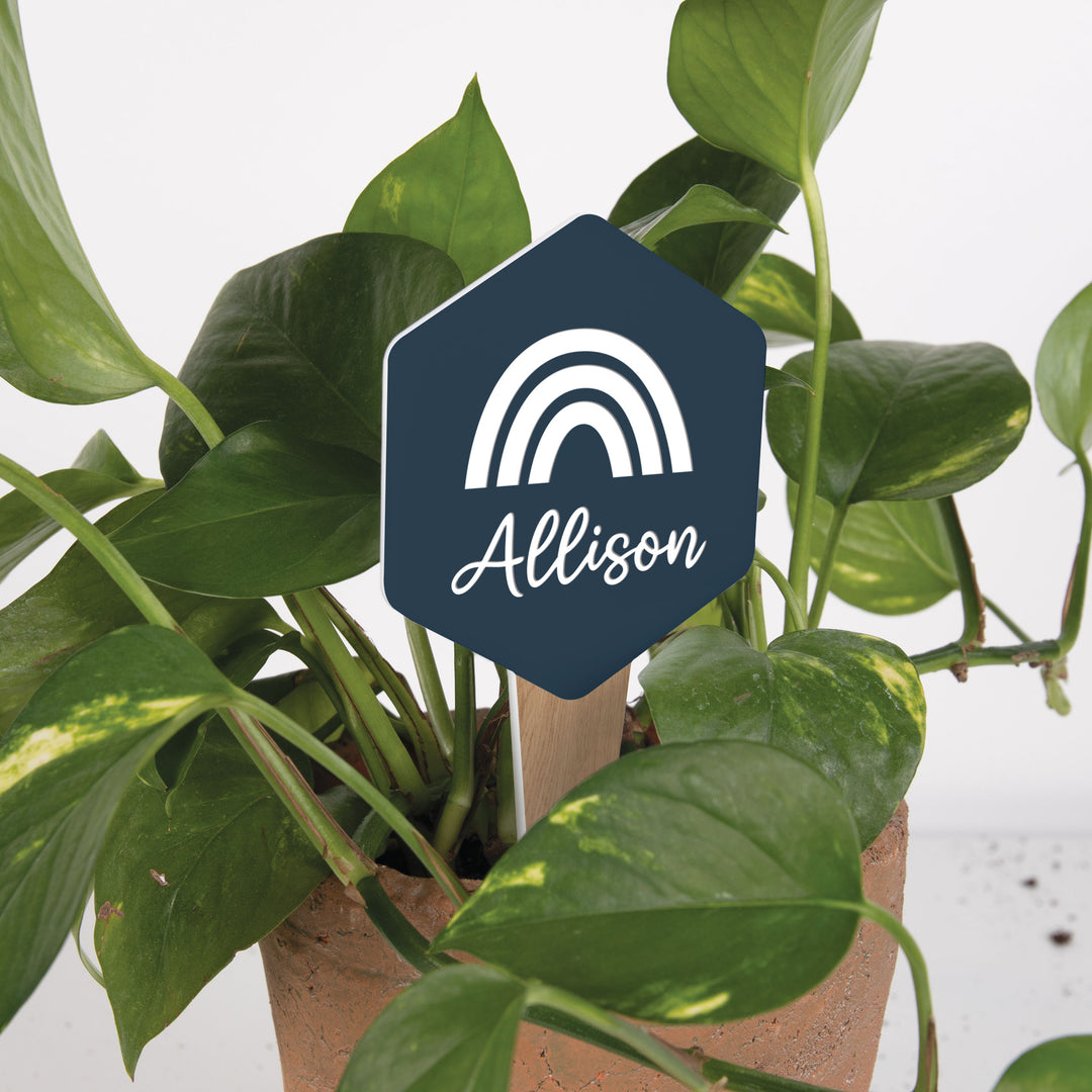 Personalized Hexagon Plant Pal